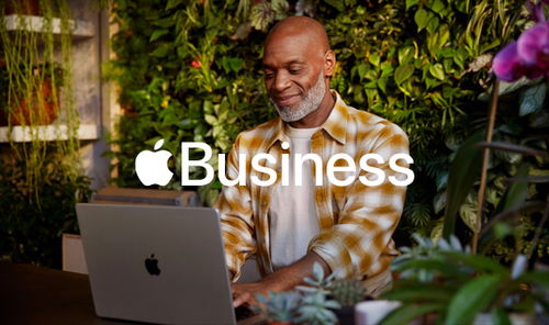 Apple Business dashboard showing location management features for brands