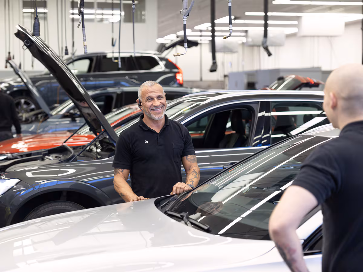 اتساق العلامة التجارية عبر المواقع