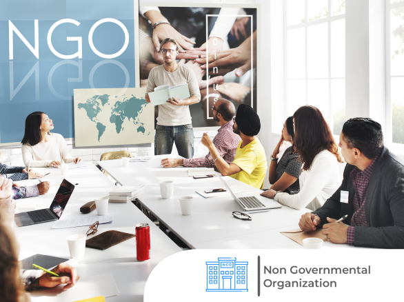 Non-Governmental Organization (NGO)