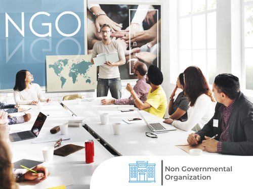 Non-Governmental Organization (NGO)