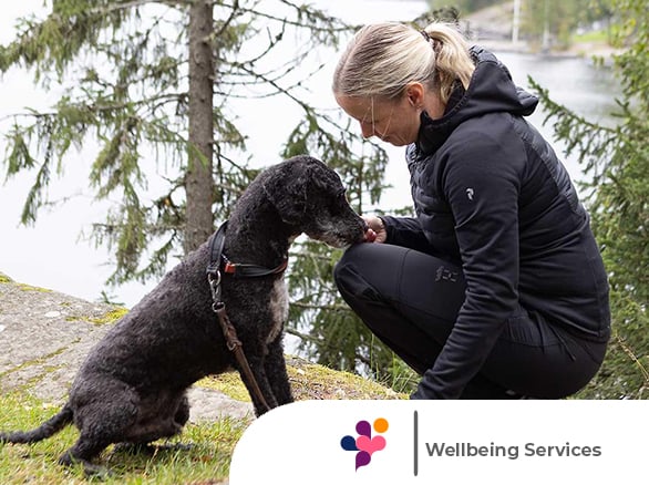 Pirkanmaa Wellbeing Region